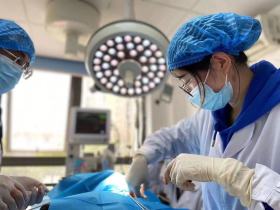 兽医手术剪的使用方法和维护注意事项