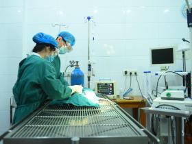 兽医手术台的种类及使用注意事项