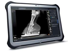 宠物DR成像技术中的图像配准方法研究