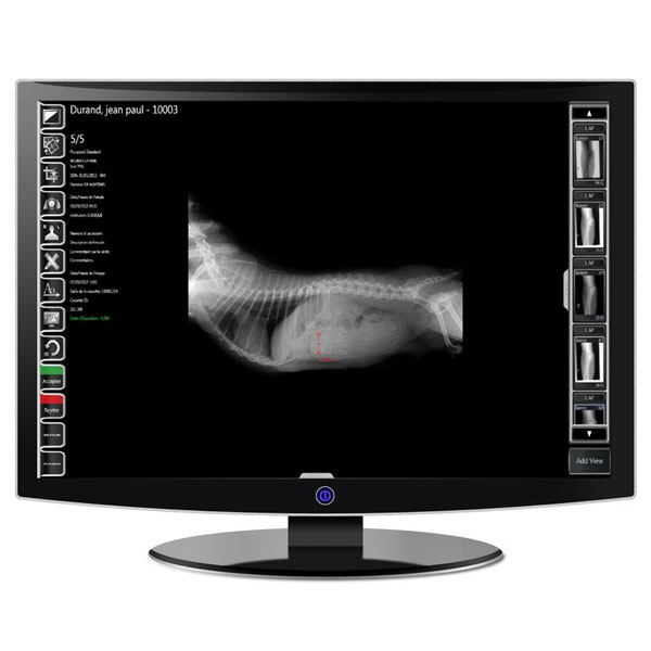 兽用DR技术在宠物骨科手术中的应用及疗效分析